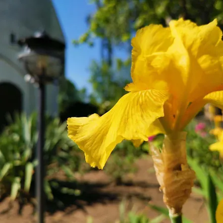 Laguna Panzio Bed & Breakfast Gardony