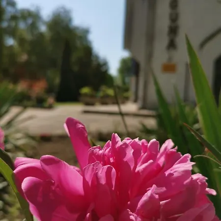 Bed & Breakfast Laguna Panzio Gardony