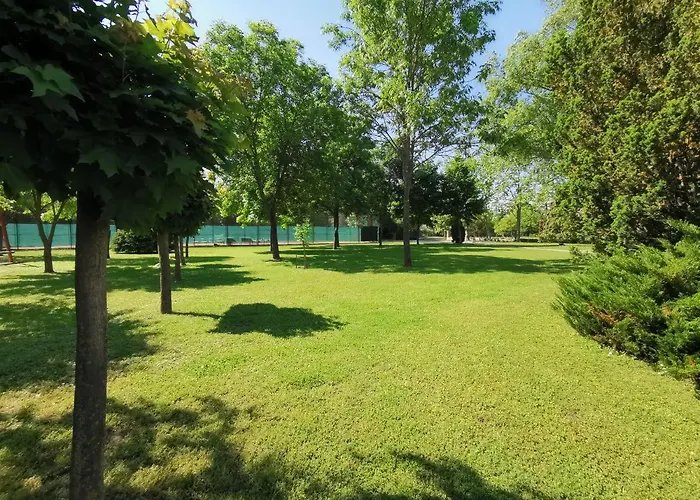 Oda ve Kahvaltı Laguna Panzio